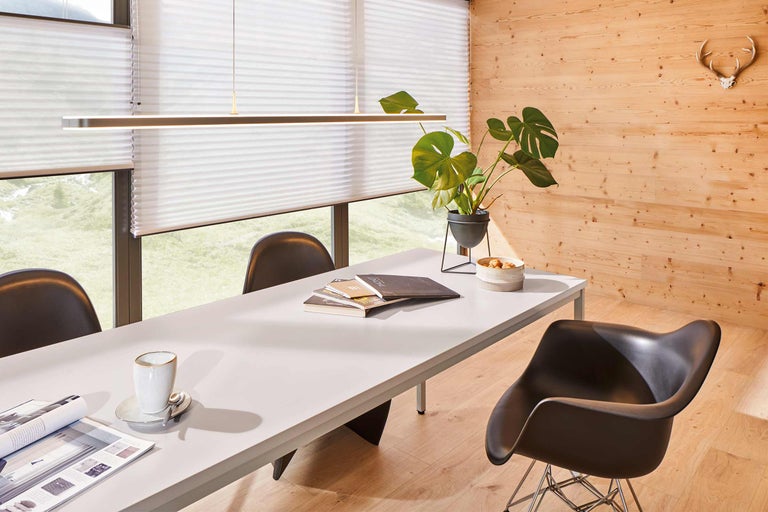 Salle à manger lumineuse avec table à manger, chaises, plante d'intérieur, suspension et stores plissés