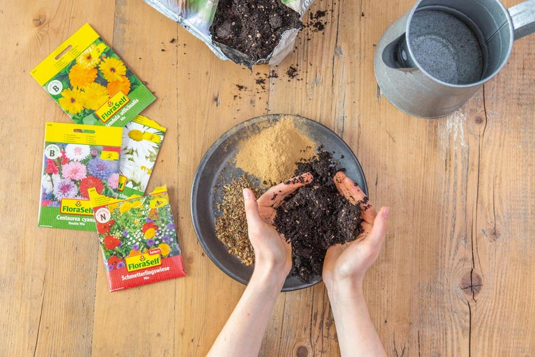 Semences de fleurs de FloraSelf, terreau et arrosoir sur une table en bois.