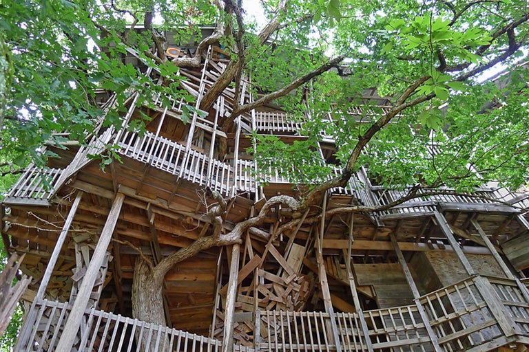 Mehrstöckiges Holzbaumhaus mit Baumstämmen und Ästen