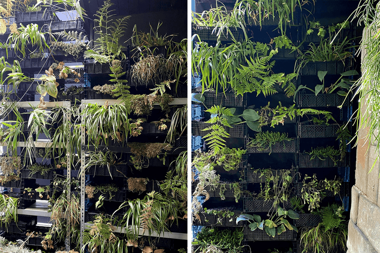 Vertikaler Garten mit verschiedenen Pflanzen in Behältern.