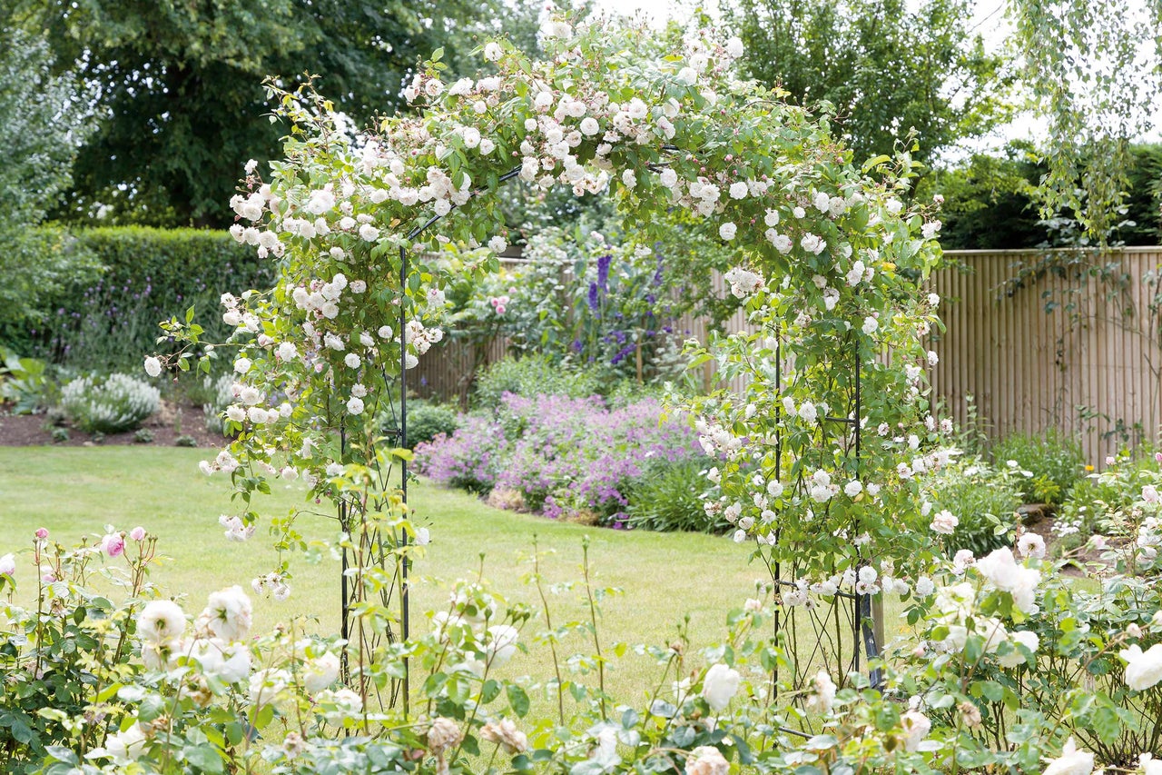 Garten mit Rosenbogen und blühenden Rosen