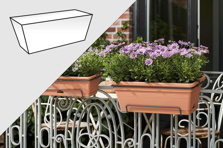 Zwei rechteckige, terrakottafarbene Balkonkästen mit Halterungen, bepflanzt mit lila Gänseblümchen auf einem dekorativen Balkongeländer.