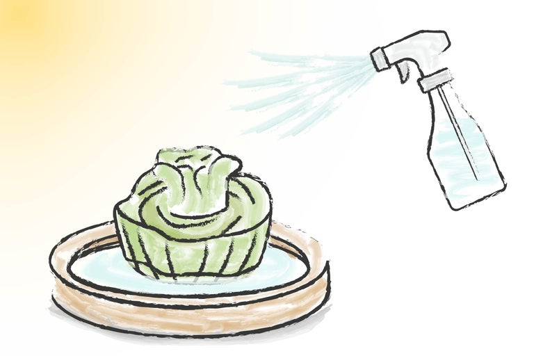 Illustration dessinée d'une plante dans un bol arrosée avec un flacon pulvérisateur.