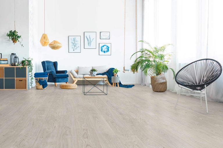 Salon lumineux avec sol stratifié, canapé, fauteuil et plantes d'intérieur