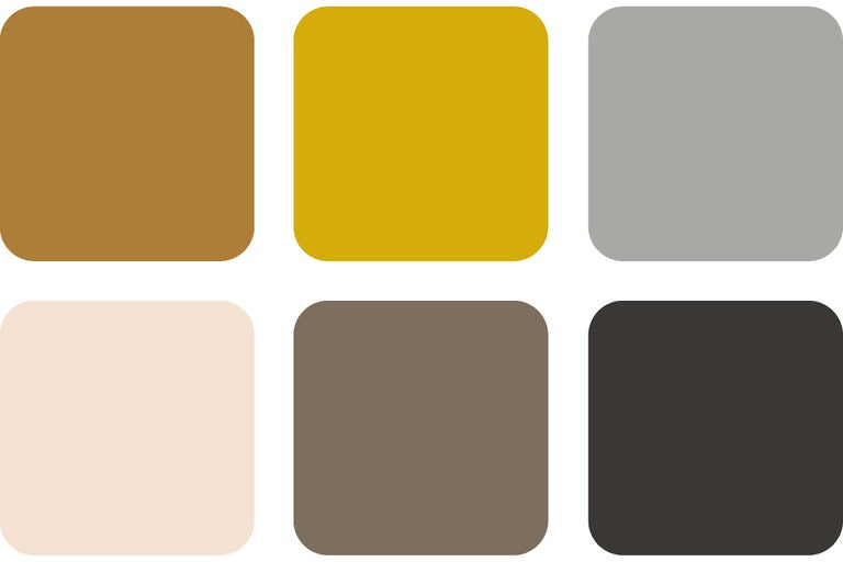Palette de couleurs avec six teintes