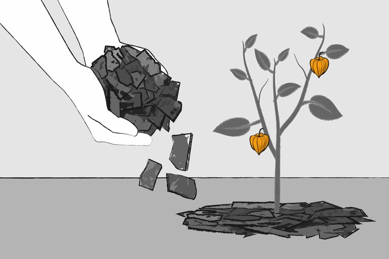 Illustration von Händen, die Steine um eine Pflanze legen