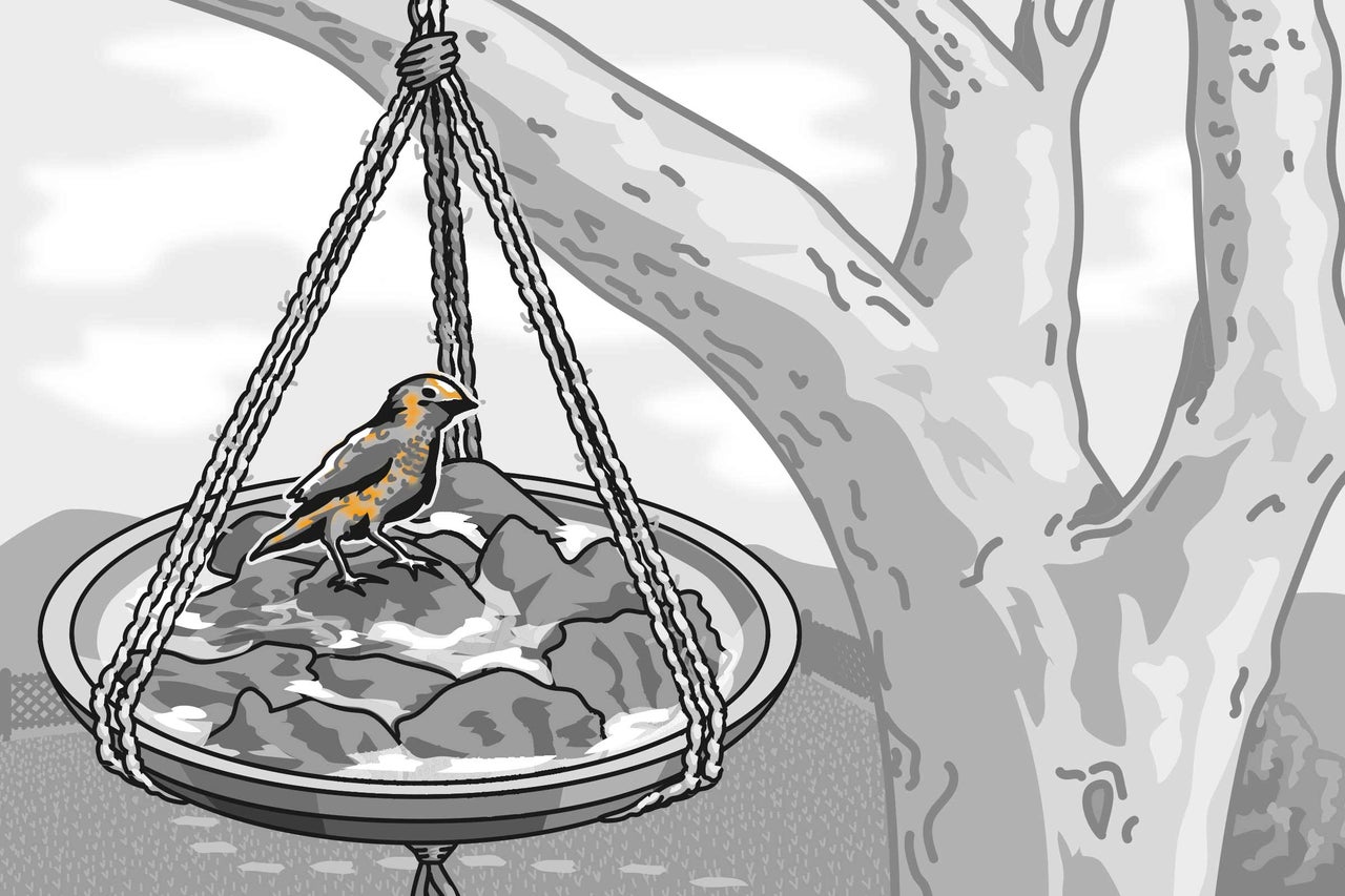Illustration d'un abreuvoir suspendu avec un oiseau dans un arbre