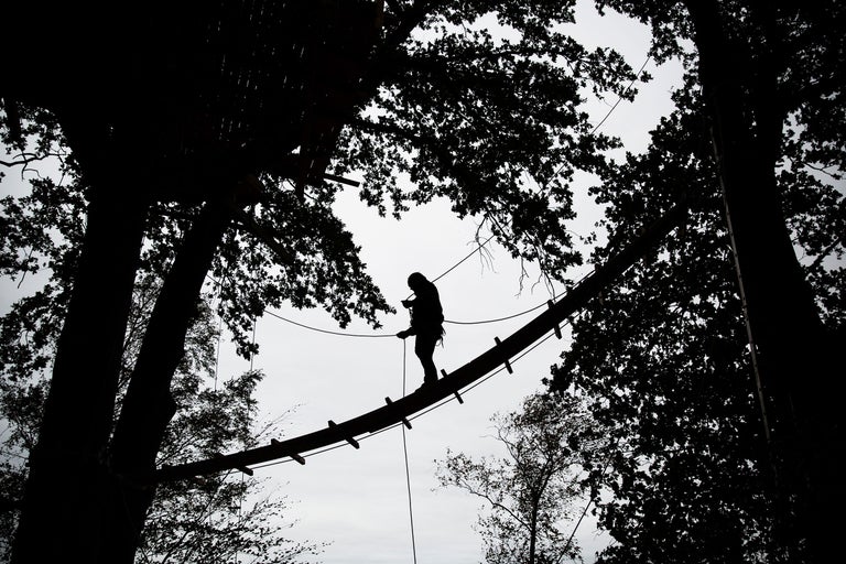 Silhouette einer Person, die einen Hochseilgarten zwischen Bäumen überquert.