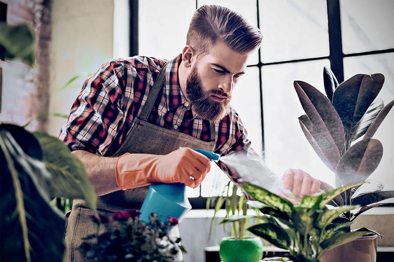 Homme arrosant des plantes d'intérieur avec un vaporisateur dans une pièce lumineuse