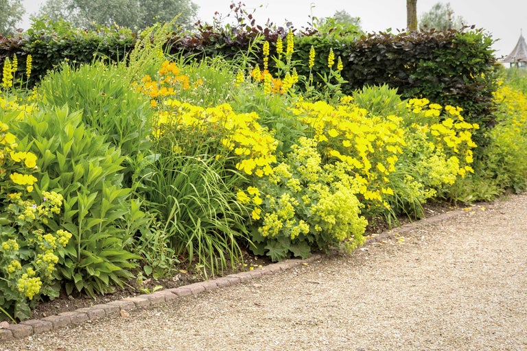 Kiesgarten anlegen und gestalten