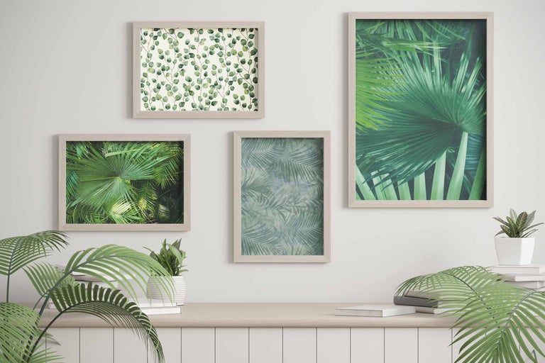 Wanddekoration mit botanischen Motiven in Bilderrahmen