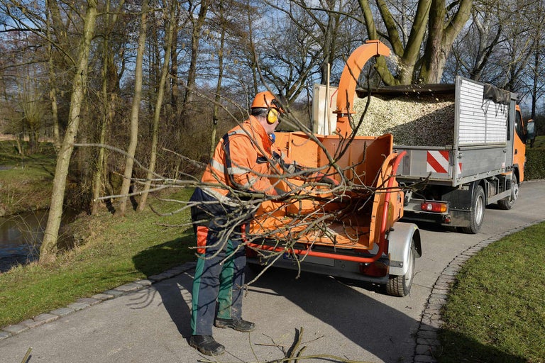 Ein Arbeiter befüllt einen Holzhäcksler mit Ästen neben einem Lastwagen.