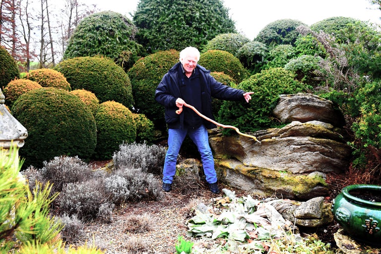 Un homme se tient debout avec une canne dans un jardin de topiaire artistique avec des buissons sphériques et des pierres.