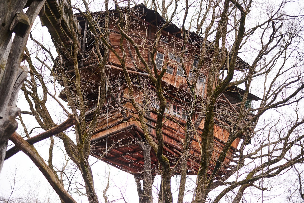 Baumhaus aus Holz inmitten von Bäumen.