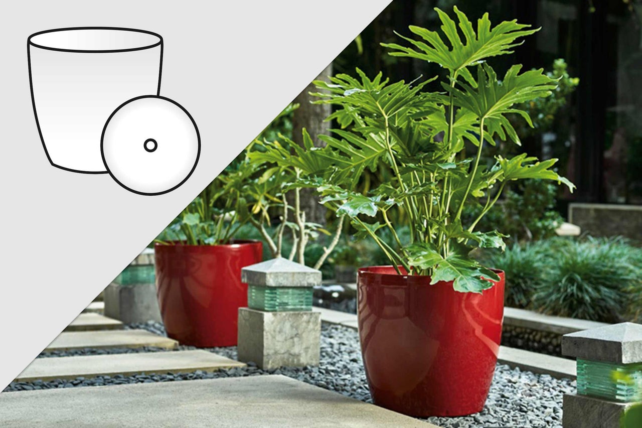 Dekorativer Pflanzkübel mit Pflanze im Garten