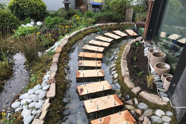 Gartenszene mit Teich, Holzsteg und Bepflanzung