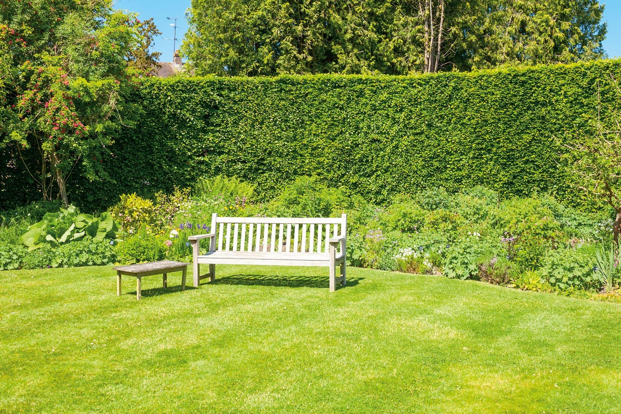 Jardin avec pelouse, haie, banc de jardin et petite table