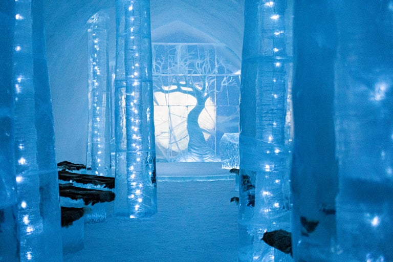 Chambre de glace avec des sculptures de glace et une représentation d'arbre
