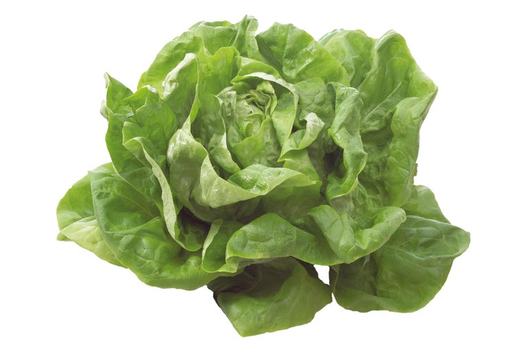 Kopfsalat