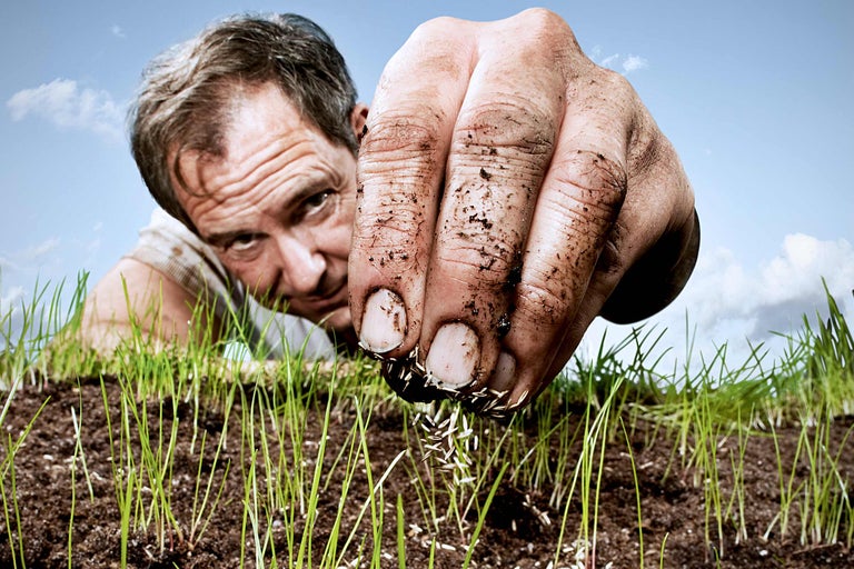Un homme sème des graines de gazon sur une pelouse