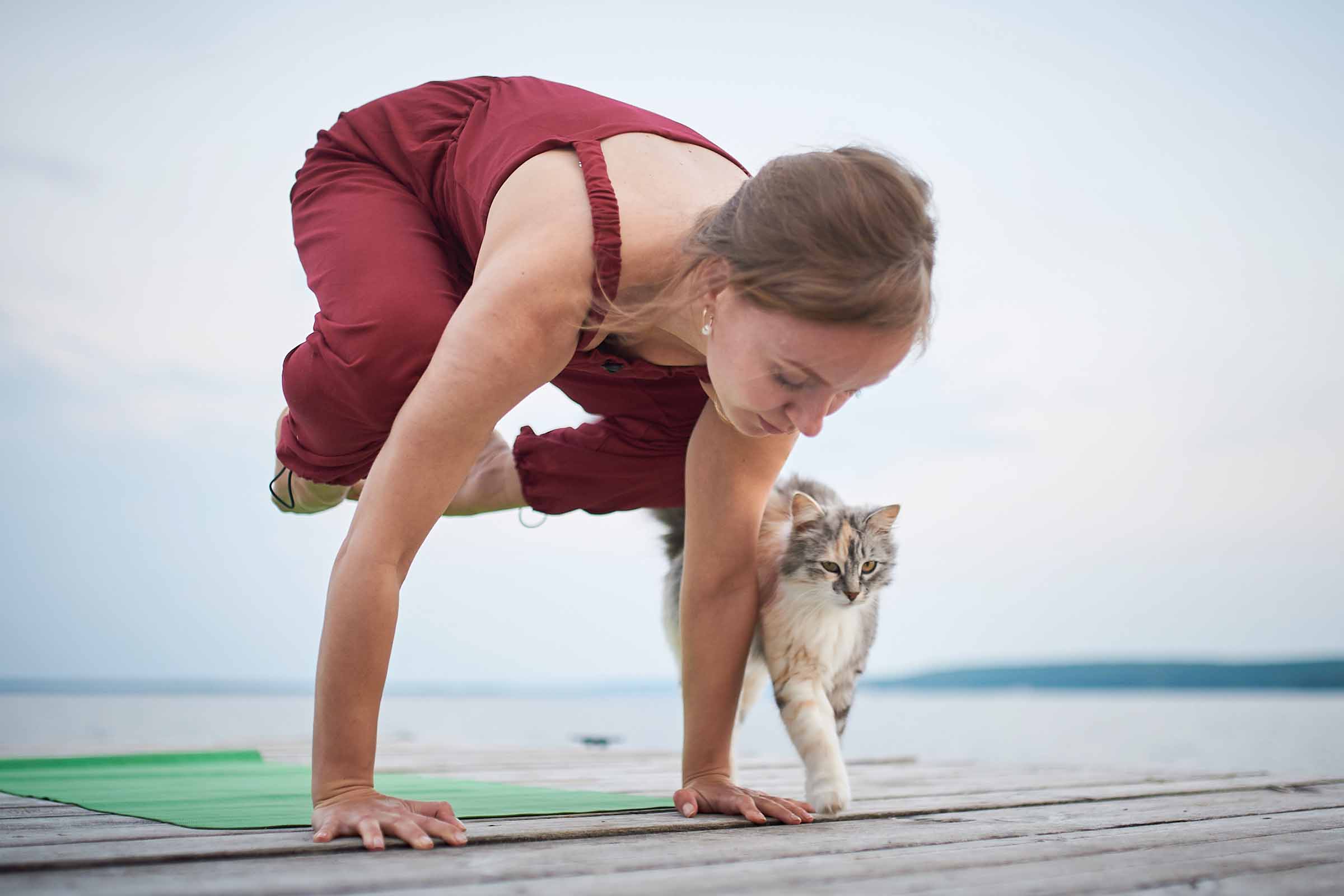Eine Frau macht Yoga auf einer grünen Yogamatte mit einer Katze auf einem Holzsteg.