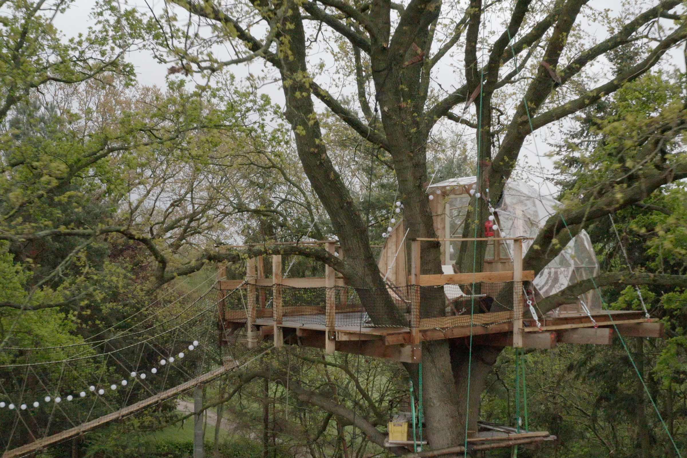 Cabane dans les arbres avec pont suspendu dans le jardin