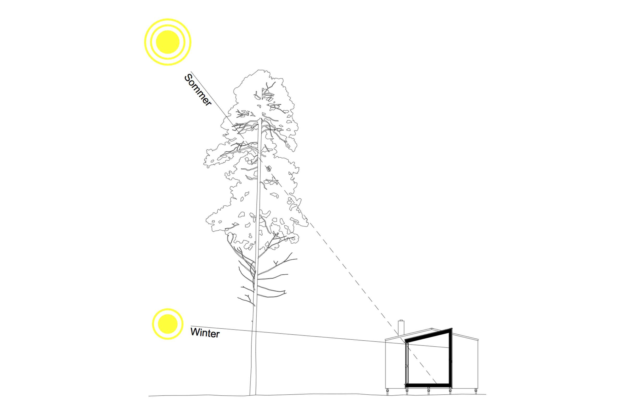 Illustration de la position saisonnière du soleil par rapport à un arbre et à un bâtiment