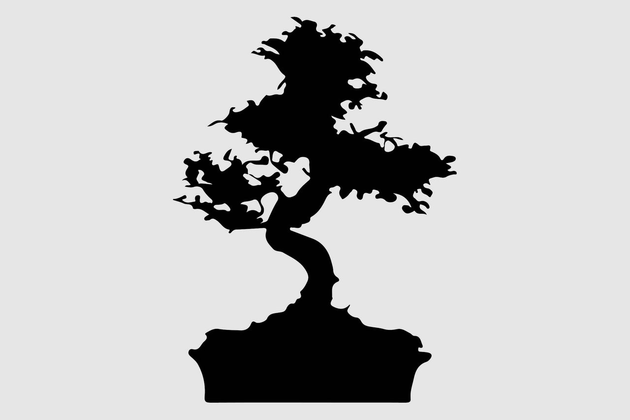 Silhouette d'un bonsaï dans un pot