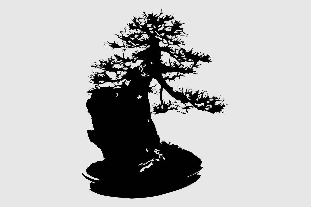Silhouette d'un bonsaï