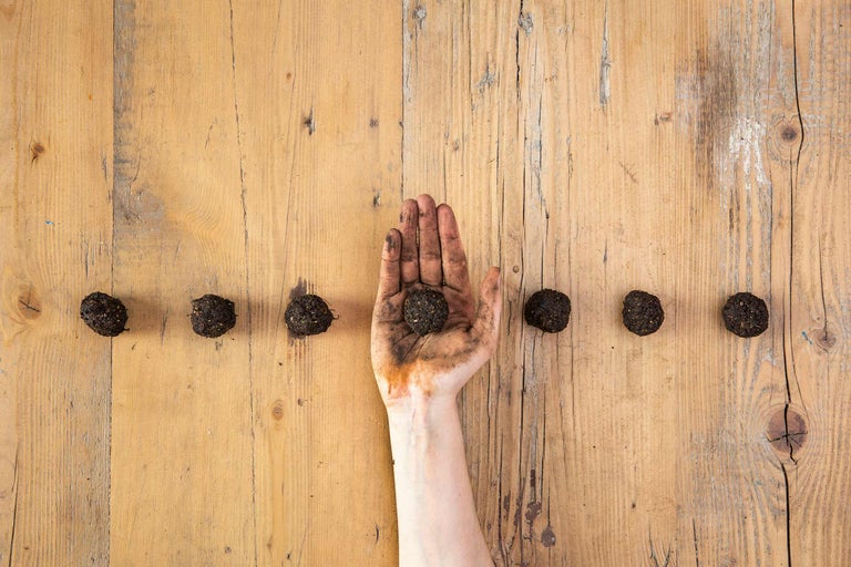 Eine Hand hält eine Samenbombe, umgeben von weiteren Samenkugeln auf einem Holztisch.