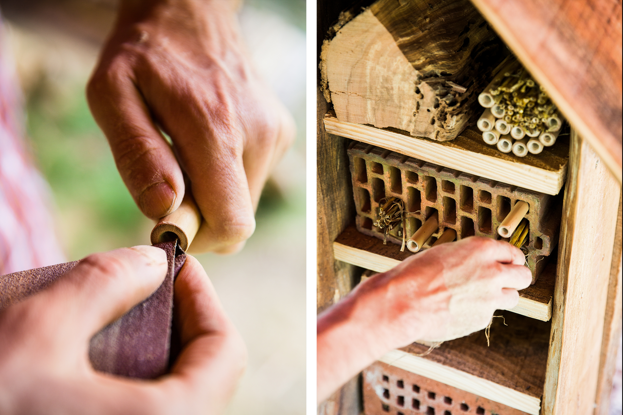 Herstellung eines Insektenhotels: Eine Person schleift ein Bambusrohr mit Schleifpapier und platziert es in einem Insektenhotel.