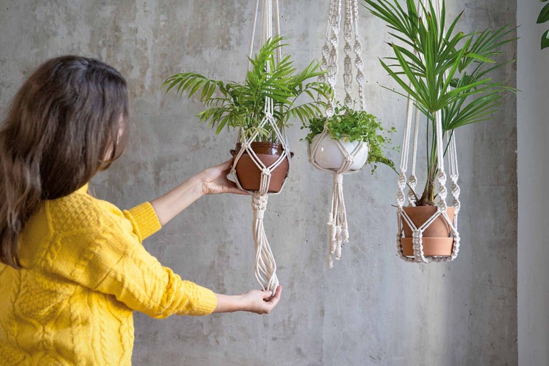 Femme regardant des suspensions pour plantes en macramé avec des plantes d'intérieur