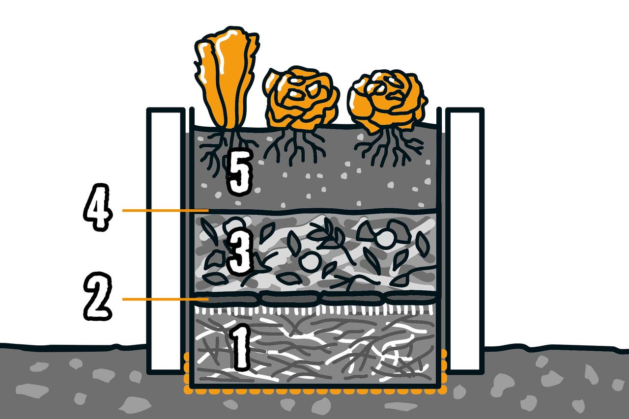 Illustration eines Hochbeets im Querschnitt mit Schichten aus Holzschnitzeln, Reisig, Kompost und Erde mit Bepflanzung