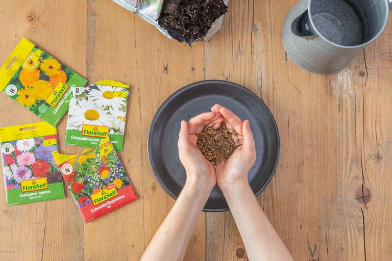 Semences de fleurs FloraSelf, terreau, arrosoir et mains tenant des graines sur une table en bois