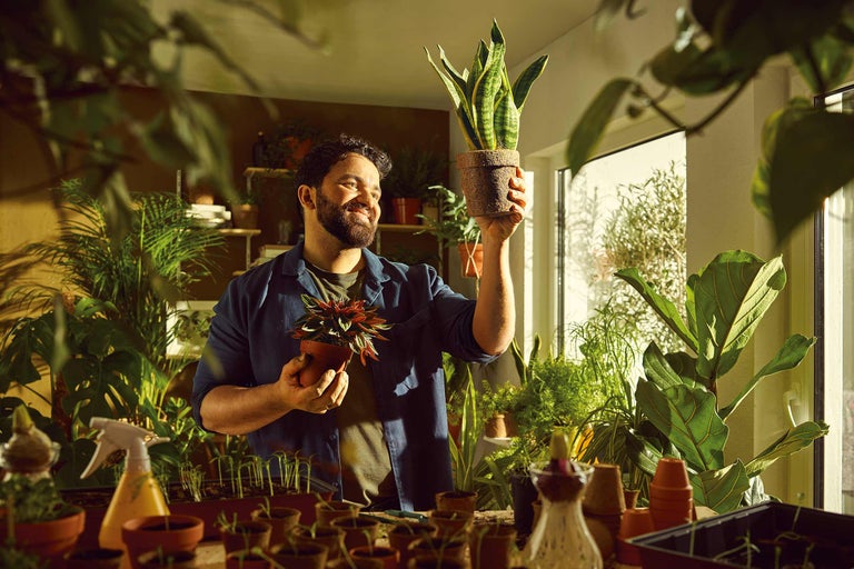 Homme tenant des plantes d'intérieur en pot dans une pièce avec des plantes
