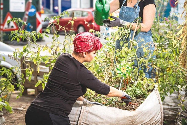 Deux femmes arrosent et entretiennent des plantes dans un potager surélevé dans la rue.