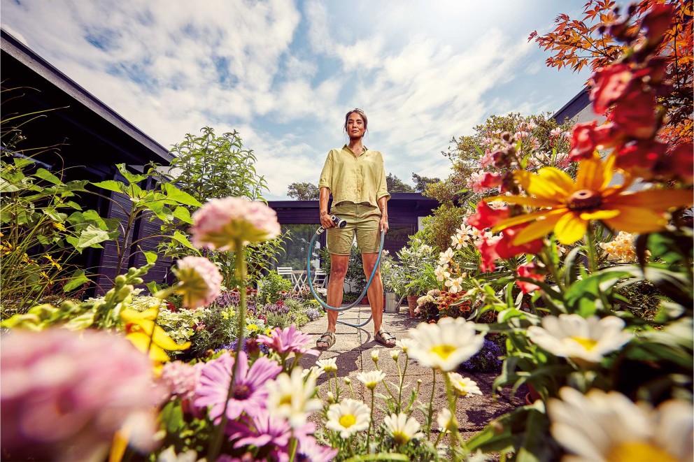 Blumenbeet Sommergarten Blumenbeet Sommergarten