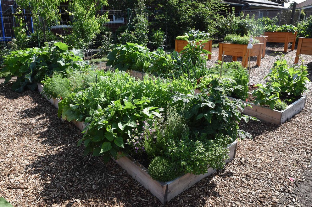 Wege planen im Gemüsegarten Wege planen im Gemüsegarten