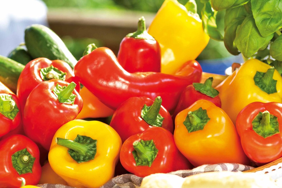 Paprika und Peperoni Paprika und Peperoni