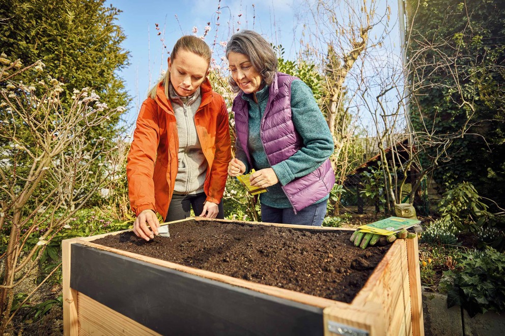 Deux femmes sèment des graines dans une jardinière surélevée dans le jardin.