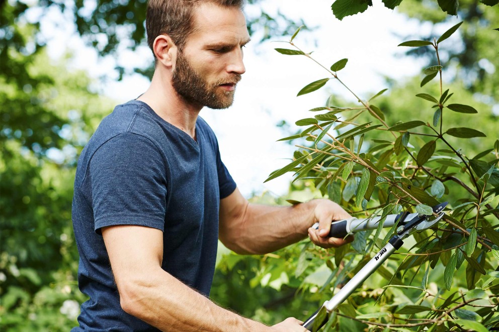 Hecke schneiden Hecke schneiden