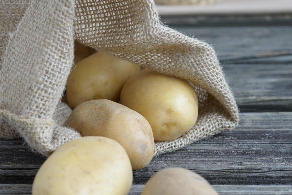 Les pommes de terre précoces Les pommes de terre précoces