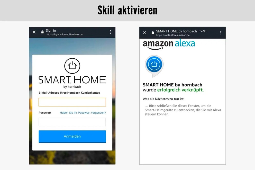 02 Alexa 02 Alexa