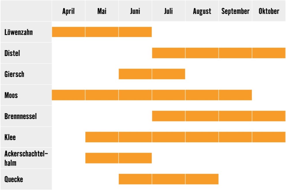 Unkrautkalender Unkrautkalender