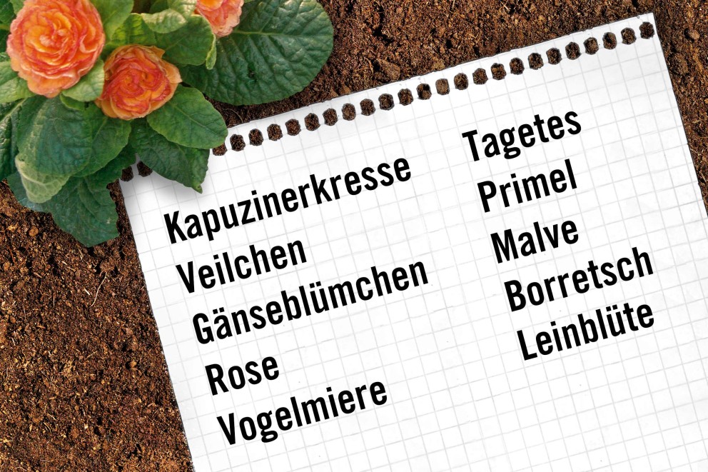 Essbare Blumen Essbare Blumen