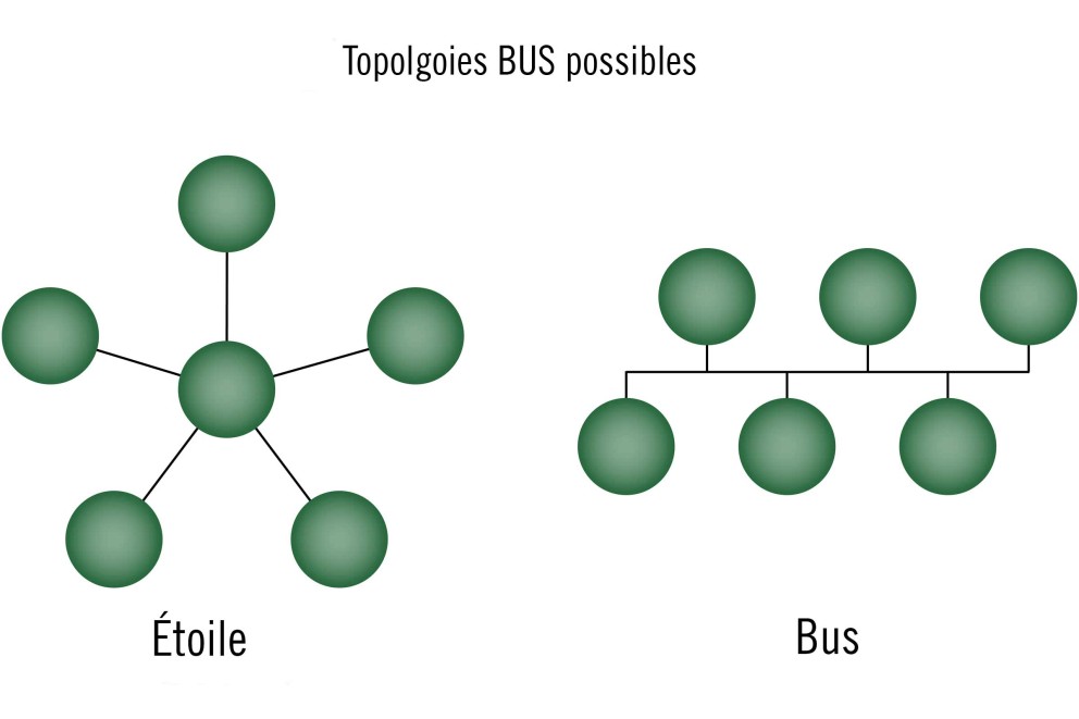 BUS Topolgoien BUS Topolgoien