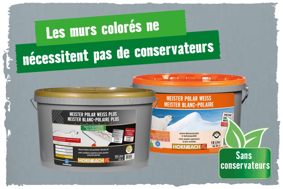 Deux seaux de peinture Meister Polar Weiss, les murs colorés n'ont pas besoin d'agents de conservation