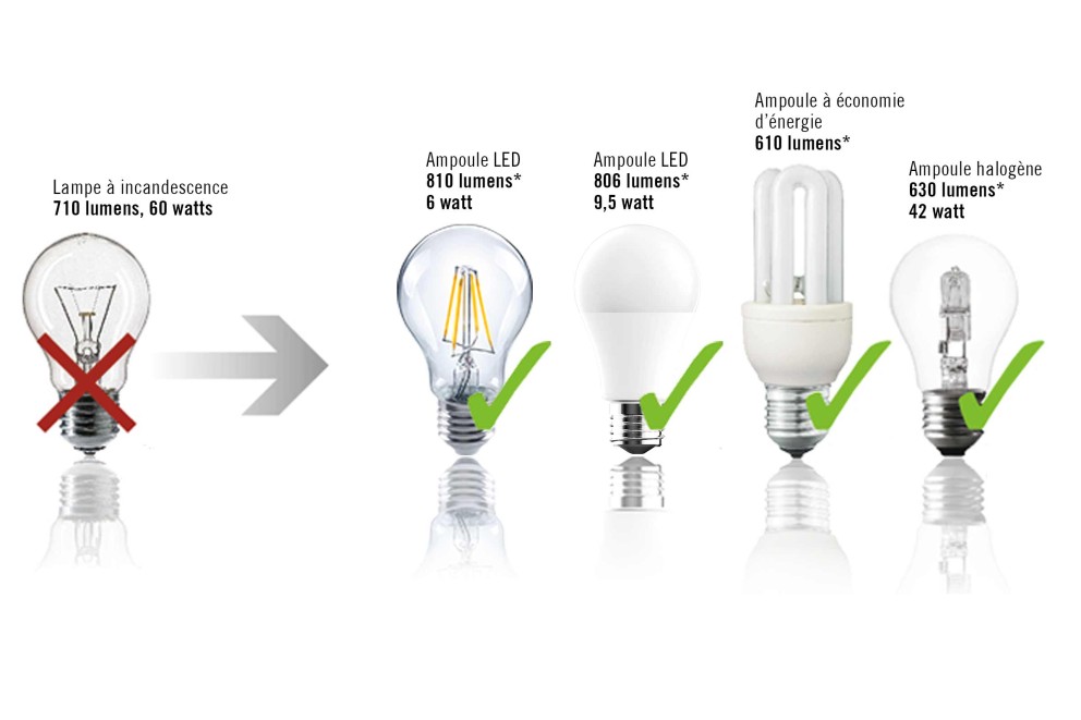 Comparaison entre une lampe à incandescence, une ampoule LED, une ampoule à économie d'énergie et une ampoule halogène