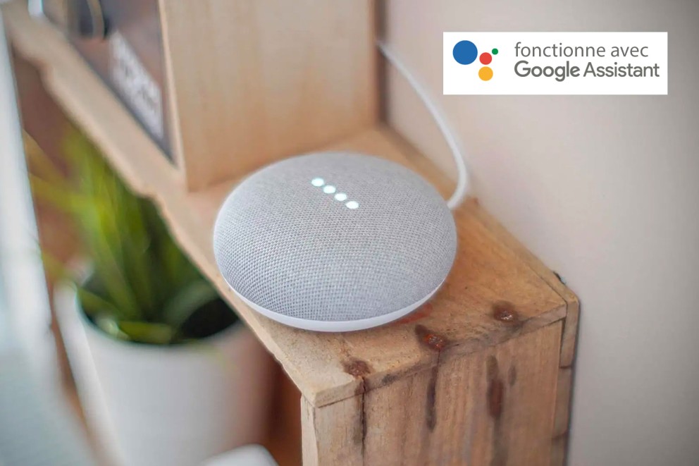 
							Commande avec l‘Assistant Google Home
						