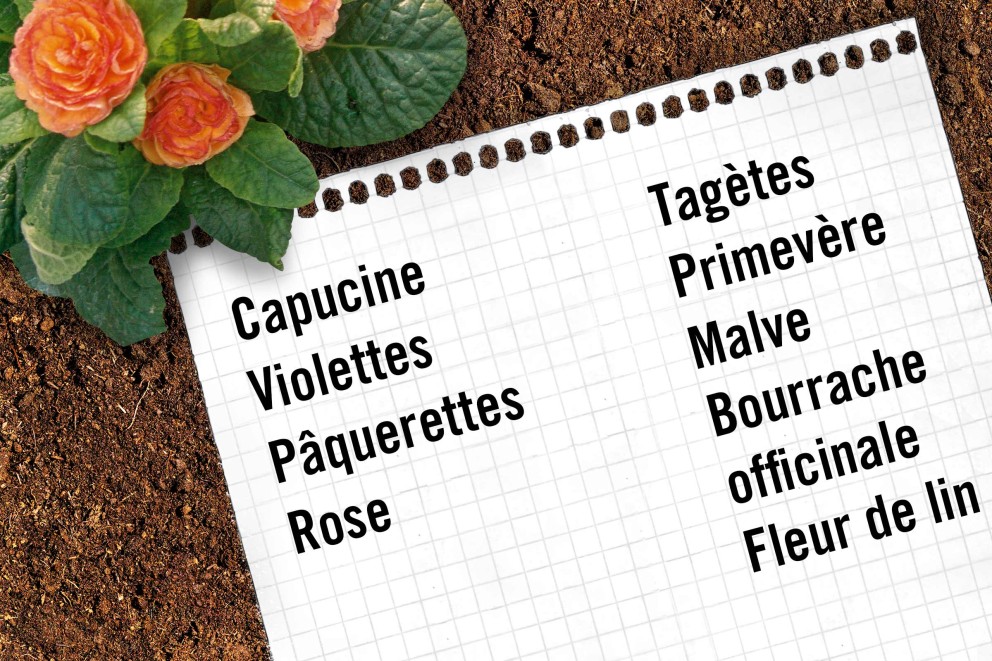 Fleurs comestibles Fleurs comestibles